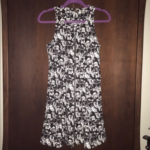 Sexy & Cute Dex Dress